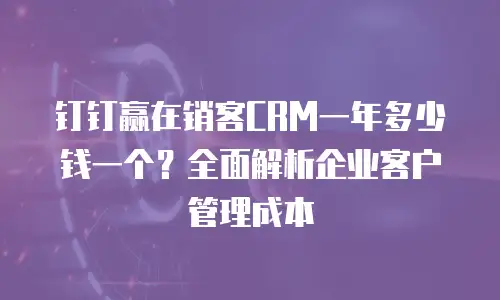 钉钉赢在销客CRM一年多少钱一个？全面解析企业客户管理成本