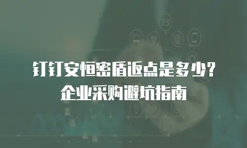 钉钉安恒密盾返点是多少？企业采购避坑指南