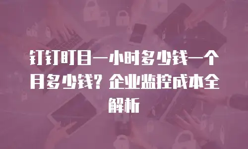 钉钉盯目一小时多少钱一个月多少钱？企业监控成本全解析