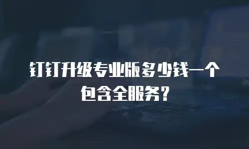 钉钉升级专业版多少钱一个包含全服务？