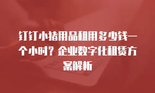 钉钉小猪用品租用多少钱一个小时？企业数字化租赁方案解析