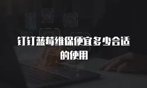 钉钉蓝莓维保便宜多少合适的使用