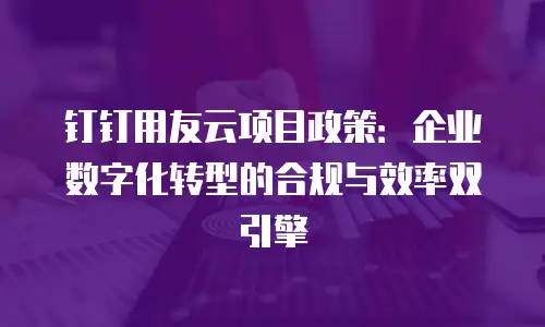 钉钉用友云项目政策：企业数字化转型的合规与效率双引擎