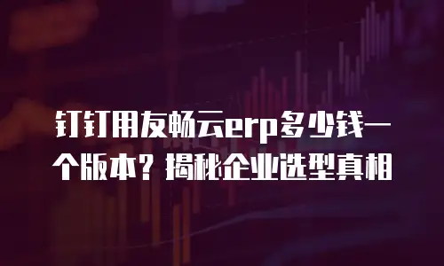 钉钉用友畅云erp多少钱一个版本？揭秘企业选型真相