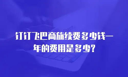 钉钉飞巴商旅续费多少钱一年的费用是多少？