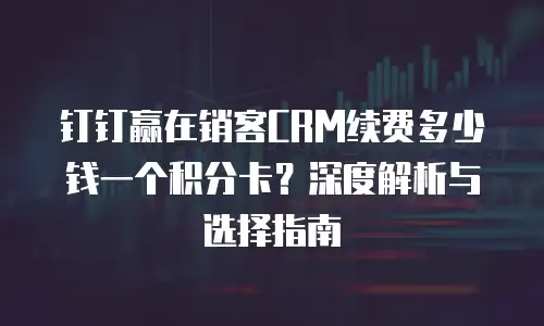钉钉赢在销客CRM续费多少钱一个积分卡？深度解析与选择指南