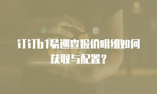 钉钉b1易巡查报价明细如何获取与配置？