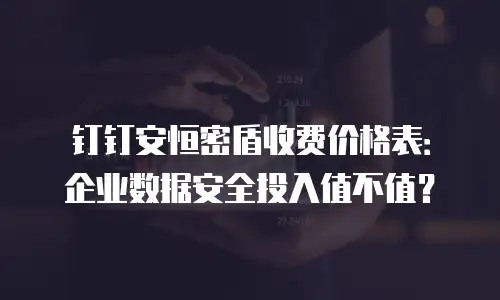 钉钉安恒密盾收费价格表：企业数据安全投入值不值？