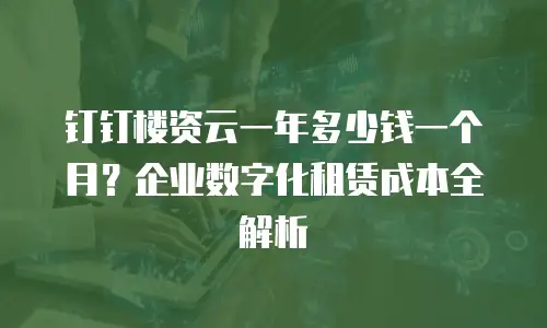 钉钉楼资云一年多少钱一个月？企业数字化租赁成本全解析