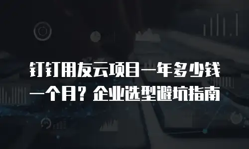 钉钉用友云项目一年多少钱一个月？企业选型避坑指南