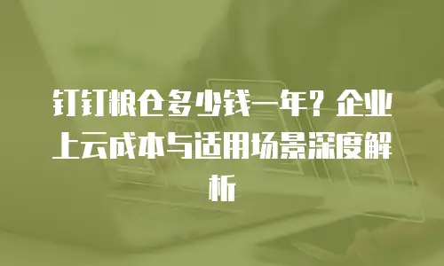 钉钉粮仓多少钱一年？企业上云成本与适用场景深度解析