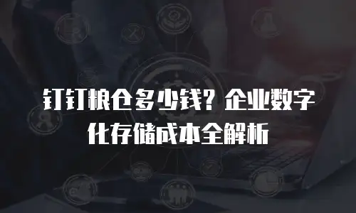 钉钉粮仓多少钱？企业数字化存储成本全解析
