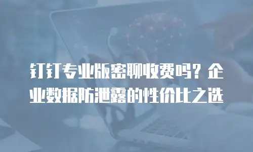 钉钉专业版密聊收费吗？企业数据防泄露的性价比之选