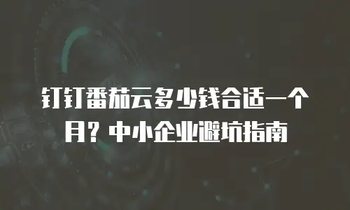 钉钉番茄云多少钱合适一个月？中小企业避坑指南