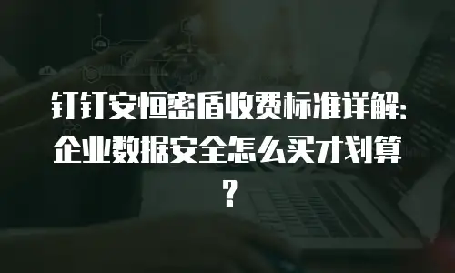 钉钉安恒密盾收费标准详解：企业数据安全怎么买才划算？