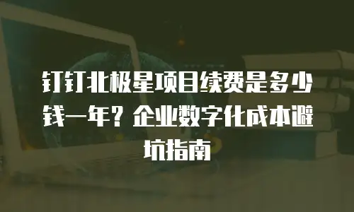钉钉北极星项目续费是多少钱一年？企业数字化成本避坑指南
