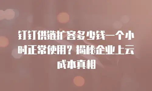 钉钉供链扩容多少钱一个小时正常使用？揭秘企业上云成本真相
