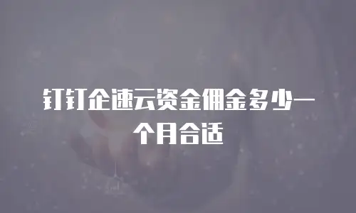 钉钉企速云资金佣金多少一个月合适