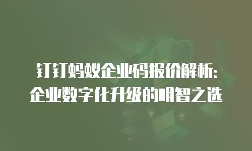 钉钉蚂蚁企业码报价解析：企业数字化升级的明智之选