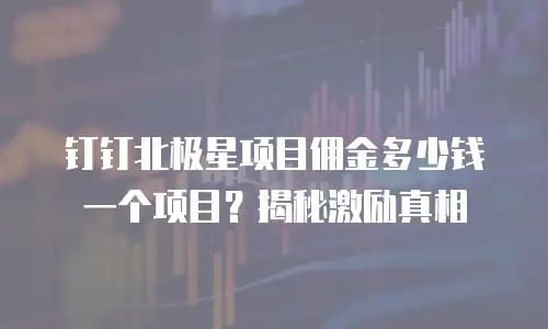 钉钉北极星项目佣金多少钱一个项目？揭秘激励真相