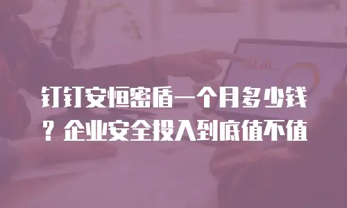 钉钉安恒密盾一个月多少钱？企业安全投入到底值不值