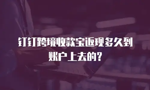 钉钉跨境收款宝返现多久到账户上去的？