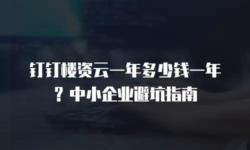 钉钉楼资云一年多少钱一年？中小企业避坑指南