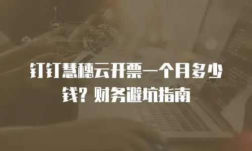 钉钉慧穗云开票一个月多少钱？财务避坑指南