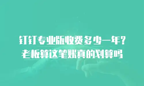 钉钉专业版收费多少一年？老板算这笔账真的划算吗