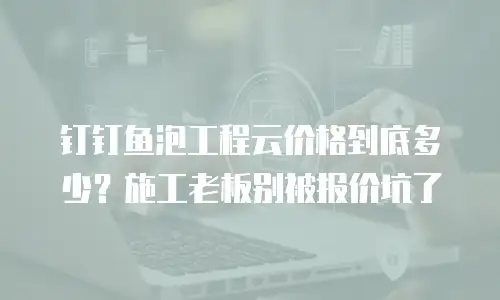 钉钉鱼泡工程云价格到底多少？施工老板别被报价坑了