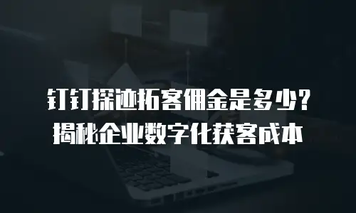 钉钉探迹拓客佣金是多少？揭秘企业数字化获客成本