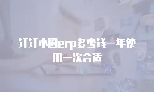 钉钉小圈erp多少钱一年使用一次合适