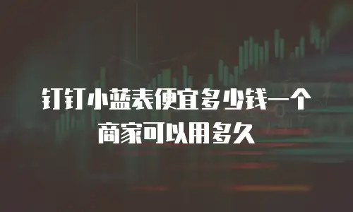 钉钉小蓝表便宜多少钱一个商家可以用多久