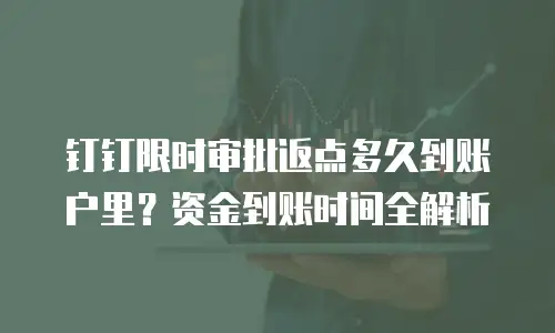钉钉限时审批返点多久到账户里？资金到账时间全解析