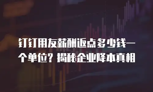 钉钉用友薪酬返点多少钱一个单位？揭秘企业降本真相