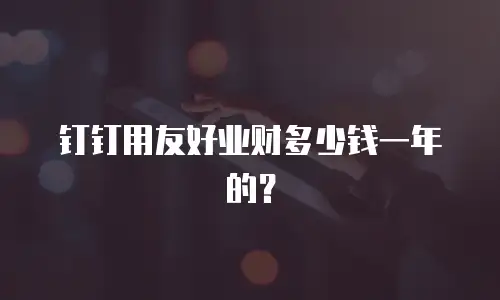 钉钉用友好业财多少钱一年的？