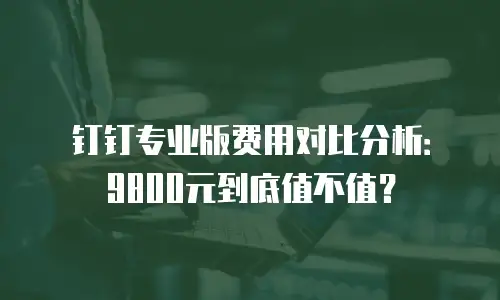 钉钉专业版费用对比分析：9800元到底值不值？