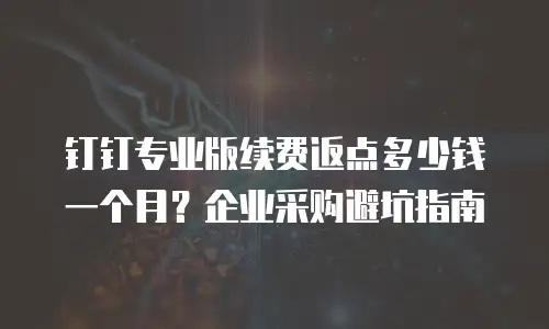 钉钉专业版续费返点多少钱一个月？企业采购避坑指南
