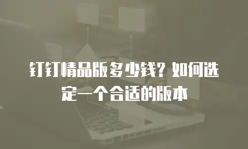 钉钉精品版多少钱？如何选定一个合适的版本