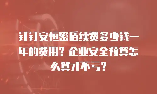 钉钉安恒密盾续费多少钱一年的费用？企业安全预算怎么算才不亏？
