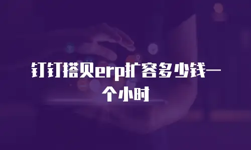 钉钉搭贝erp扩容多少钱一个小时