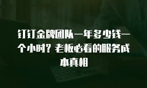 钉钉金牌团队一年多少钱一个小时？老板必看的服务成本真相
