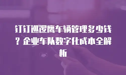 钉钉巡逻鹰车辆管理多少钱？企业车队数字化成本全解析