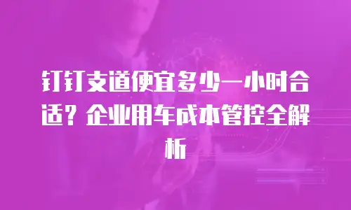钉钉支道便宜多少一小时合适？企业用车成本管控全解析