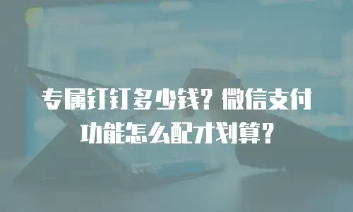 专属钉钉多少钱？微信支付功能怎么配才划算？
