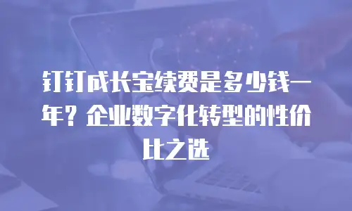 钉钉成长宝续费是多少钱一年？企业数字化转型的性价比之选