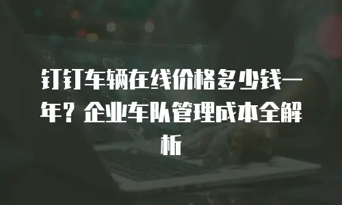 钉钉车辆在线价格多少钱一年？企业车队管理成本全解析