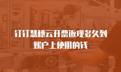 钉钉慧穗云开票返现多久到账户上使用的钱