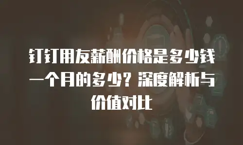 钉钉用友薪酬价格是多少钱一个月的多少？深度解析与价值对比