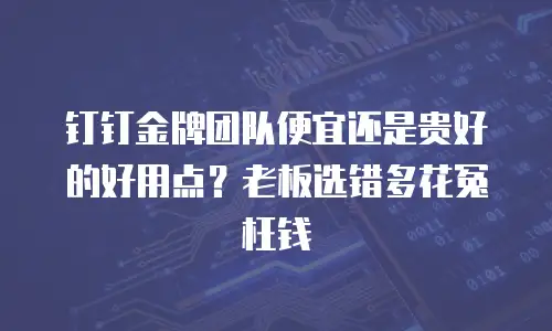 钉钉金牌团队便宜还是贵好的好用点？老板选错多花冤枉钱